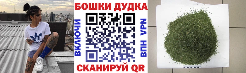Где продают наркотики Инта Псилоцибиновые грибы  Мефедрон  ГАШ  Канабис 