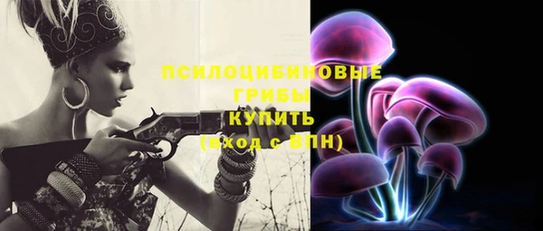шишки Зеленодольск