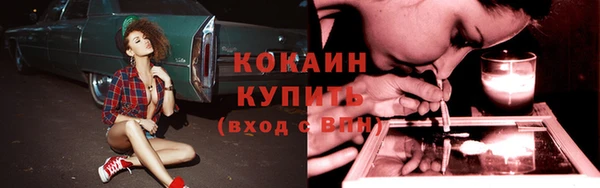 шишки Зеленодольск