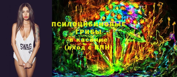 шишки Зеленодольск