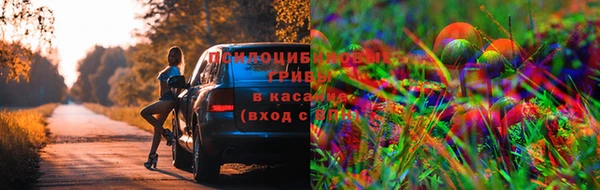 шишки Зеленодольск